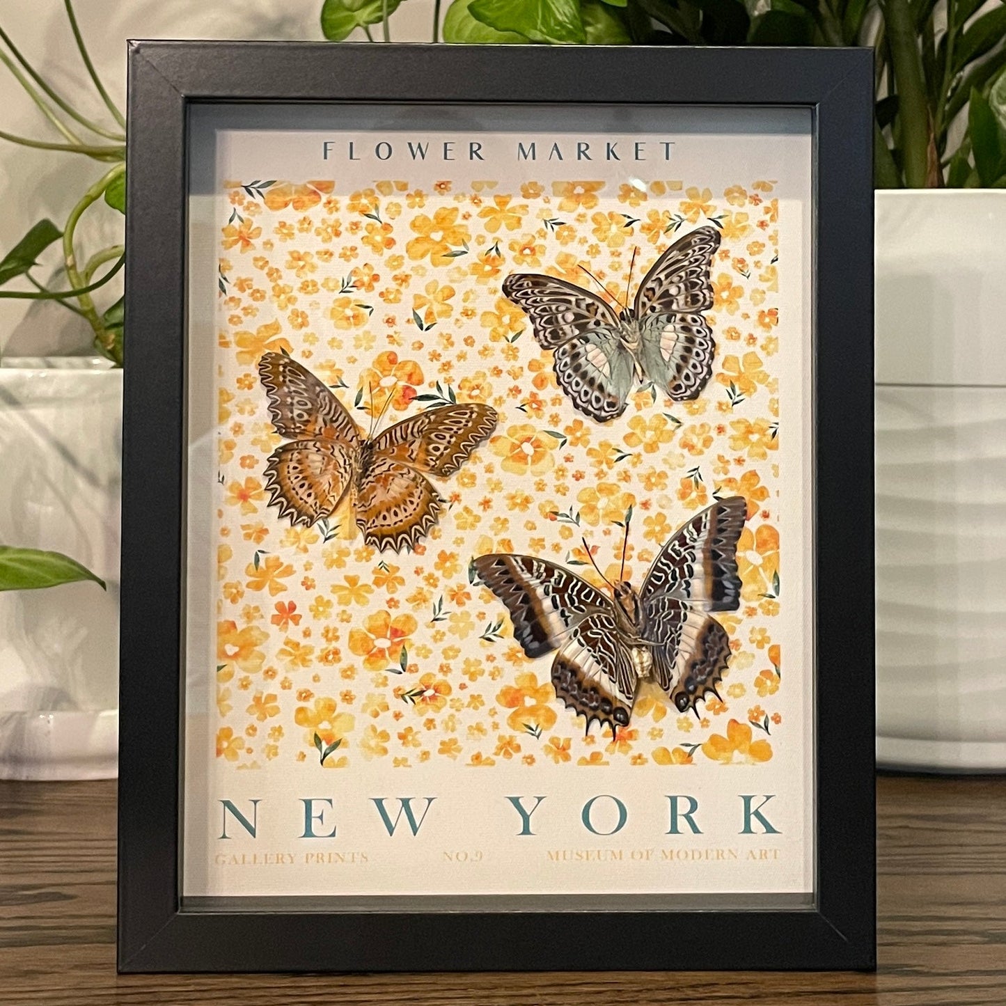 New York - Lavender commander, Orange lacewing, and White-barred emperor