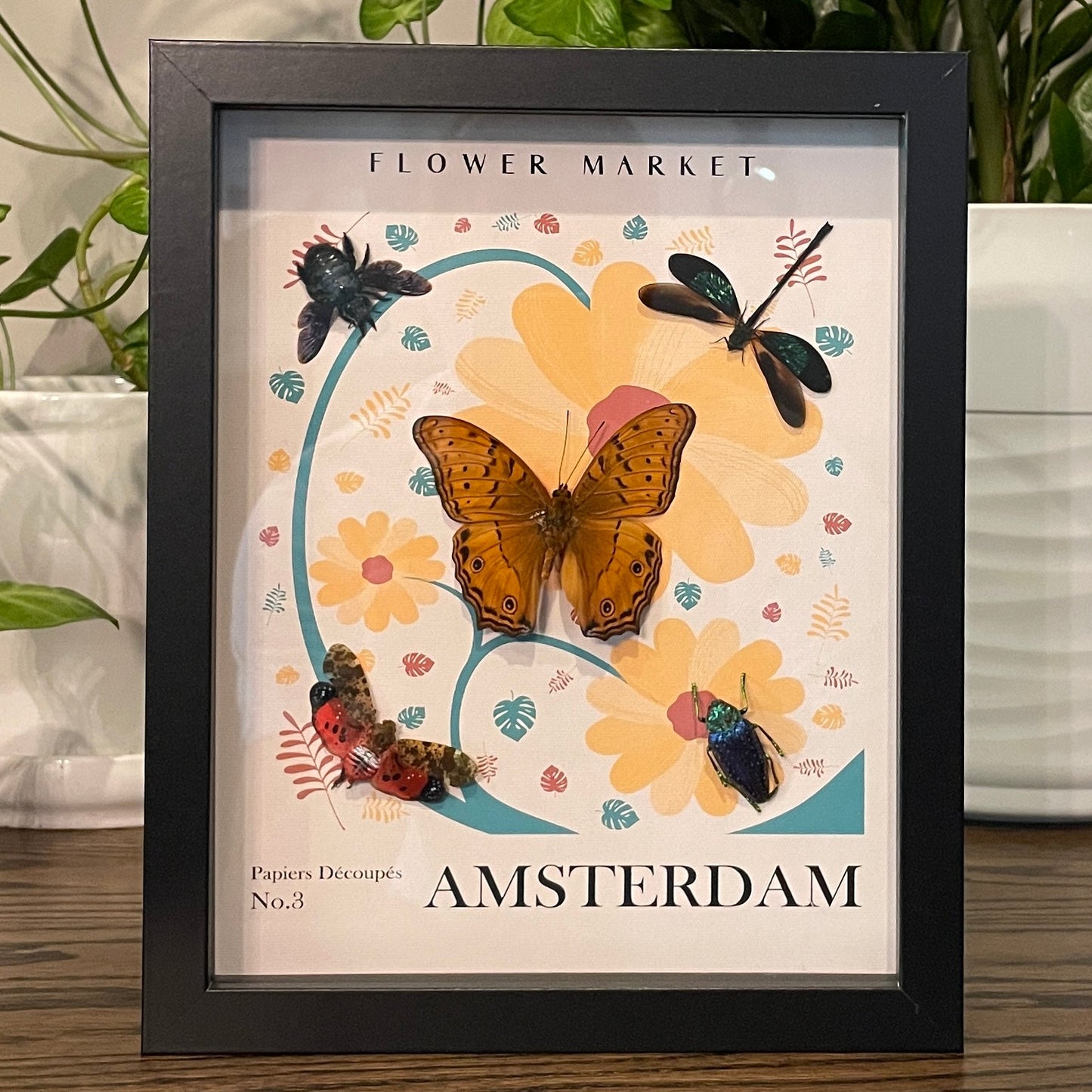 Amsterdam - Orange cruiser butterfly with 4 insect friends