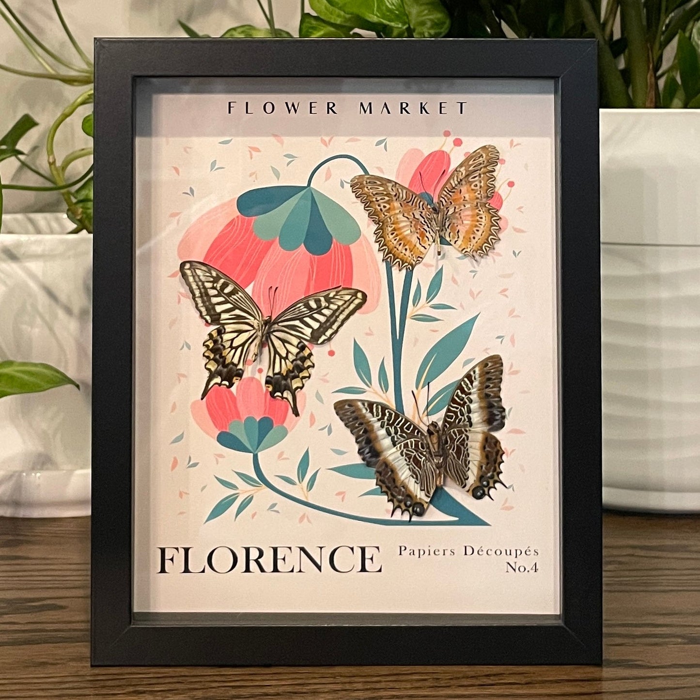 Florence - Orange lacewing, Asian swallowtail, & White-barred emperor